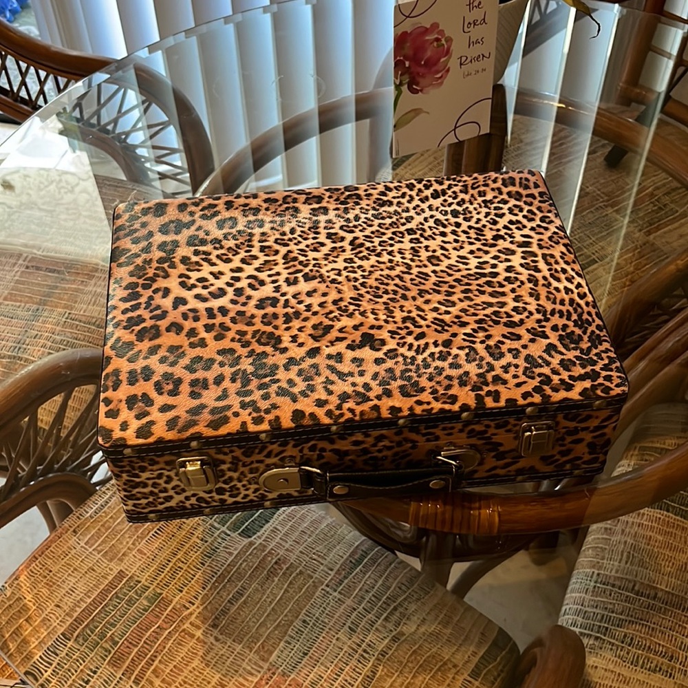 Animal print brief case or whatever you want to put in it brand knew